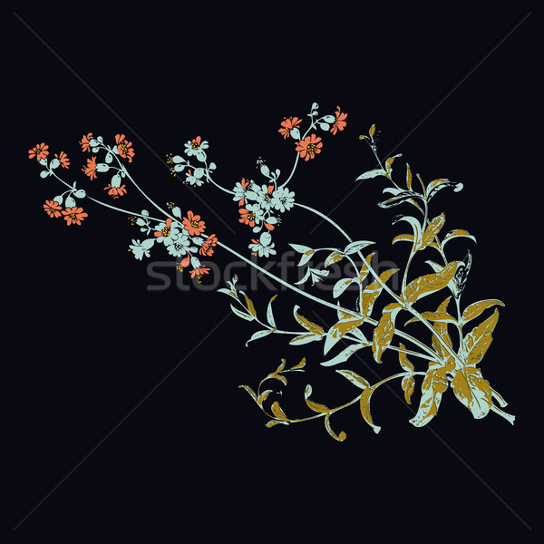 Colorful botanical hand drawn branches with flowers isolated, he Stock photo © cosveta