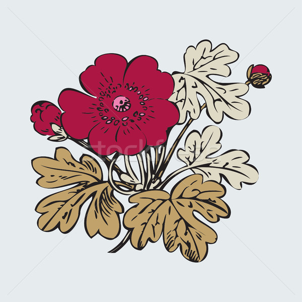 Floral bush retro on white background vector, hand drawn decorat Stock photo © cosveta