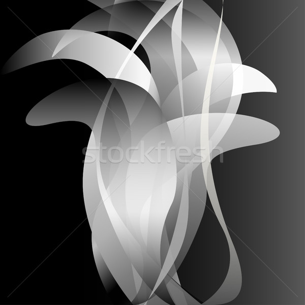 черно белые цветок изолированный темно весны аннотация Сток-фото © cosveta