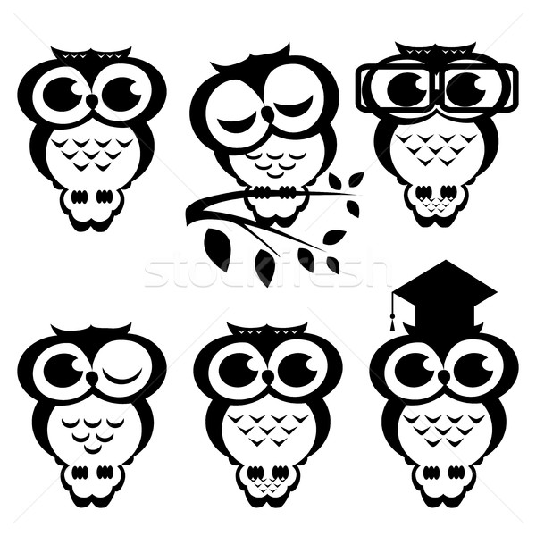 Vector set of owls. Cartoon Stock photo © cosveta