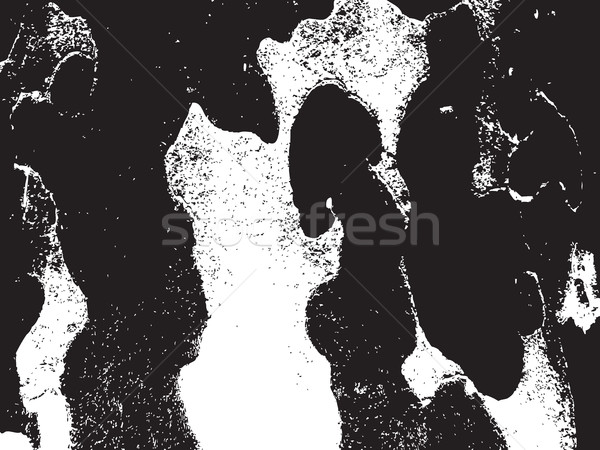 Bark close up texture vector illustration. Black and white color Stock photo © cosveta