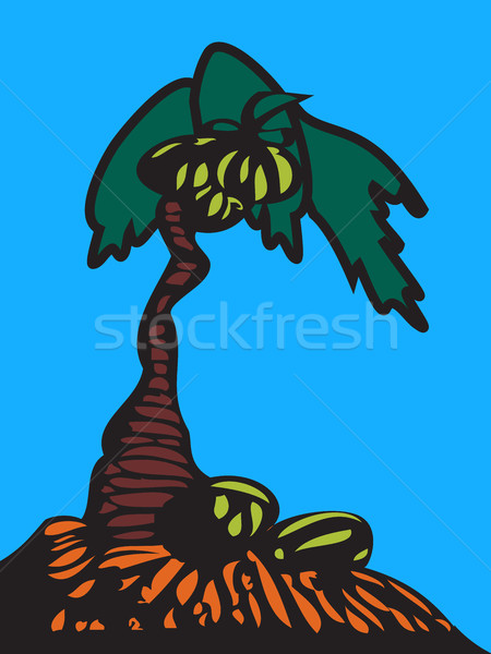 Palm tree with coconuts isolated on blue light  background. Coco Stock photo © cosveta