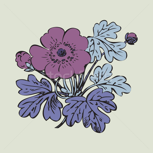 Floral bush retro on white background vector, hand drawn decorat Stock photo © cosveta