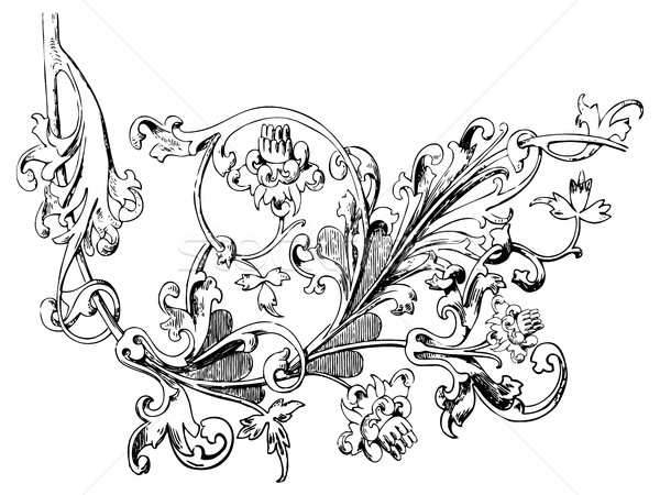 Kézzel rajzolt illusztráció gally virágok levelek barokk Stock fotó © cosveta