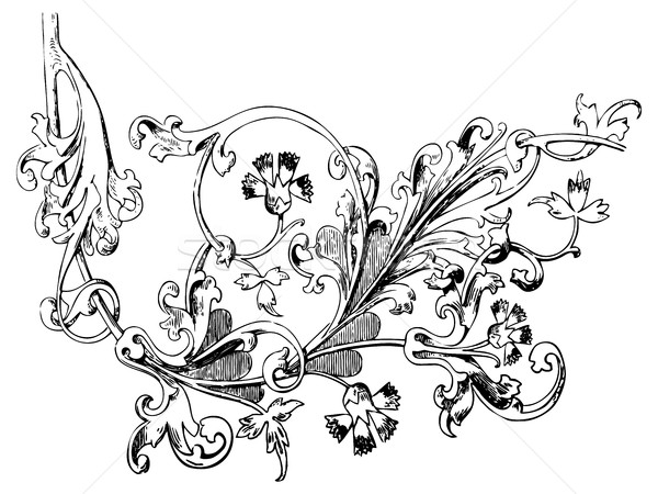 Stock fotó: Kézzel · rajzolt · illusztráció · gally · virágok · levelek · barokk