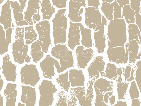 Schors textuur beige kleuren interieur Stockfoto © cosveta