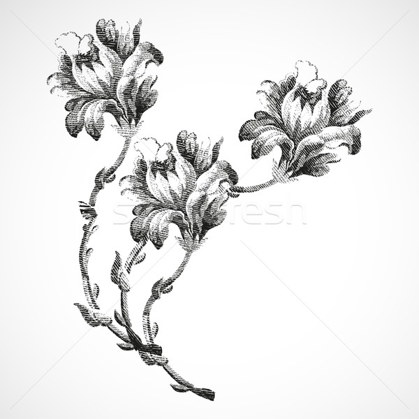 Сток-фото: рисованной · букет · три · цветы · Лилия · Vintage