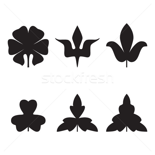 Decorative black leaves pattern set isolated on white vector. Va Stock photo © cosveta