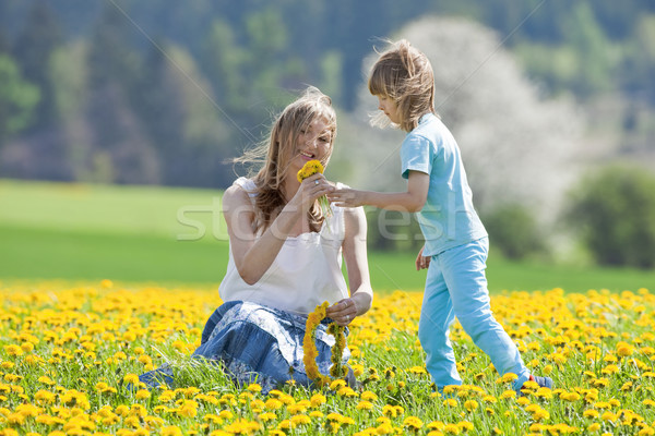 Foto stock: Mãe · filho · dandelion · campo · flores
