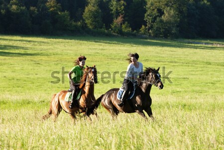 Horseback Riding Lessons - Woman Leading Two Horses with Boys  Stock photo © courtyardpix