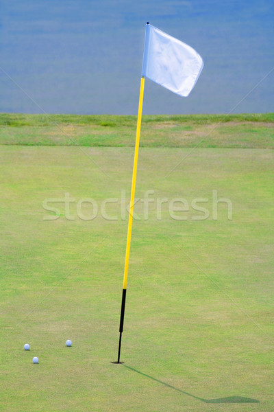 golf hole with a flag Stock photo © courtyardpix