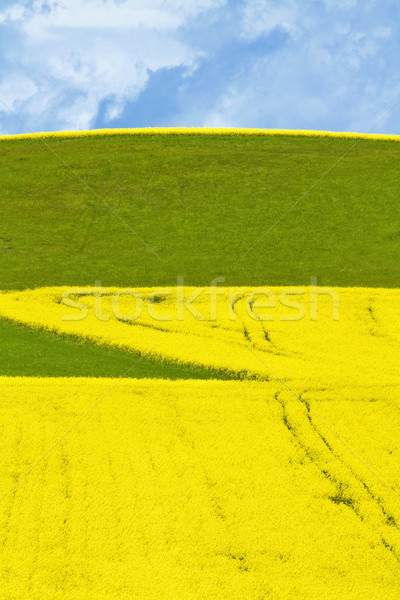 Landschaft Bereich Himmel Gras südlich Tschechische Republik Stock foto © courtyardpix