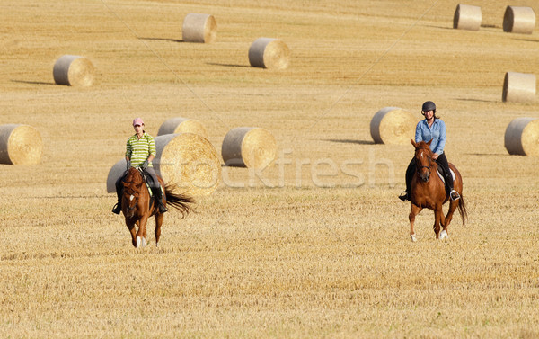 Dos mujeres campo heno mujer nina Foto stock © courtyardpix