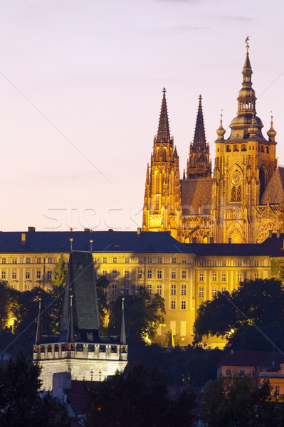 prague - hradcany castle Stock photo © courtyardpix
