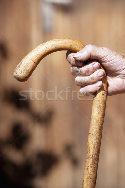 Hand riet oude boer vrouw Stockfoto © courtyardpix