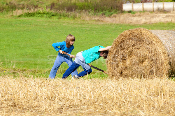 Two Boys Moving Bale of Hay with Stick as a Lever Stock photo © courtyardpix