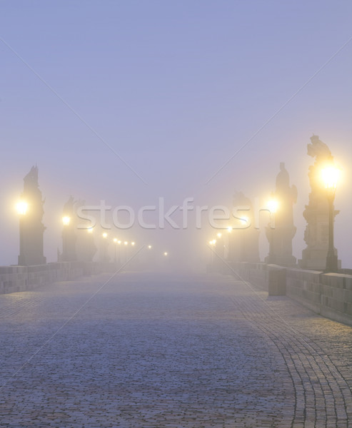布拉格 橋 捷克共和國 早晨 光 商業照片 © courtyardpix