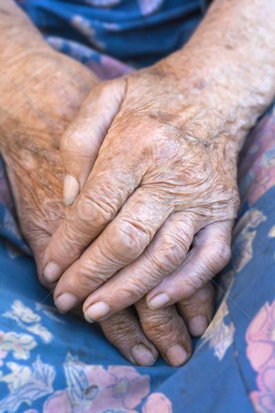 close of old womans hands Stock photo © courtyardpix