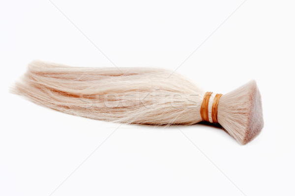 Real Human Hair  Stock photo © courtyardpix