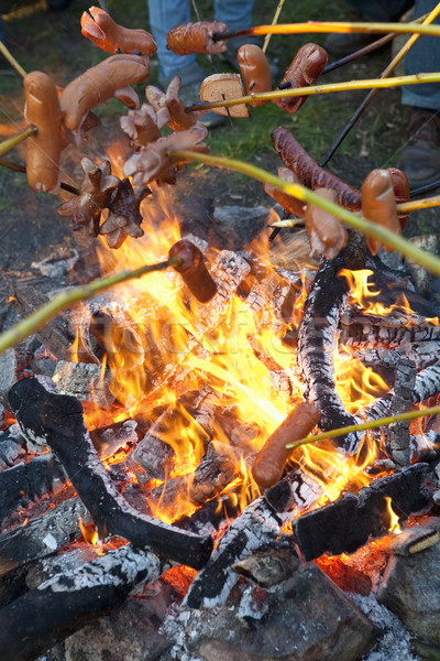 Menschen Grillen Würstchen Lager Feuer Lagerfeuer Stock foto © courtyardpix