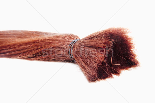 Real Human Hair  Stock photo © courtyardpix