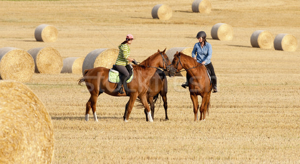 Two Women Horseback Riding in a Field with Bales of Hay Stock photo © courtyardpix