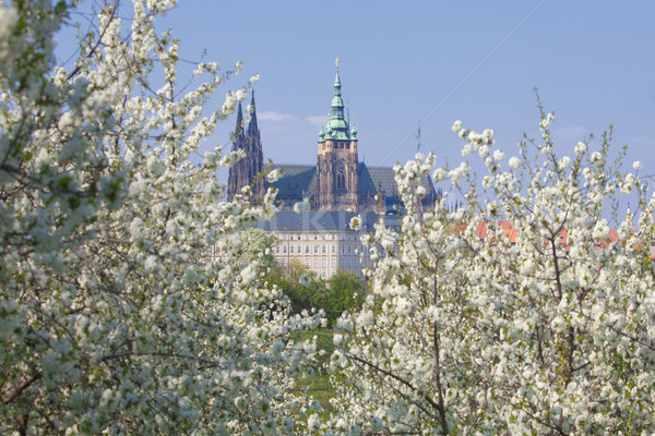prague hradcany castle Stock photo © courtyardpix