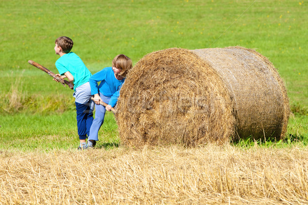 Two Boys Moving Bale of Hay with Stick as a Lever Stock photo © courtyardpix