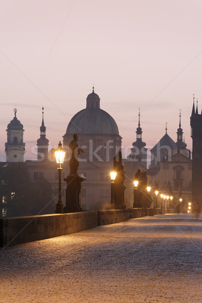 布拉格 橋 捷克共和國 黎明 燈 建築 商業照片 © courtyardpix