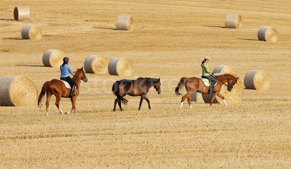 Stock photo: Two Women Horseback Riding in a Field with Bales of Hay