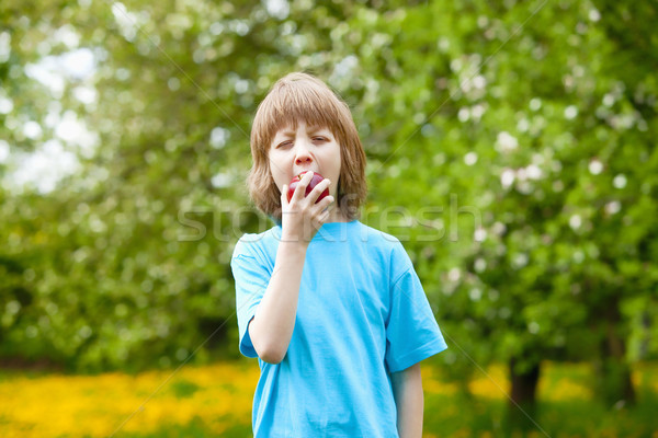 Fiú eszik piros alma kert fa alma Stock fotó © courtyardpix