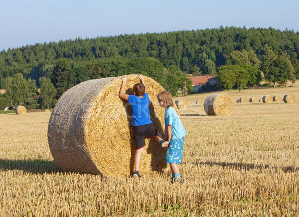 Two Boys Climbing Bale of Hay Stock photo © courtyardpix