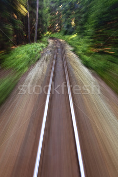 narrow gauge railroad track Stock photo © courtyardpix