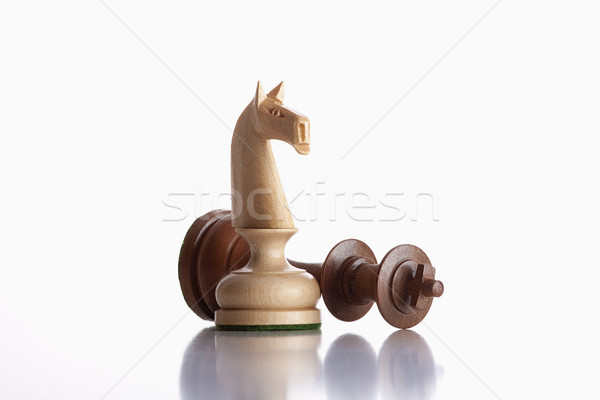 chess knight and king Stock photo © courtyardpix