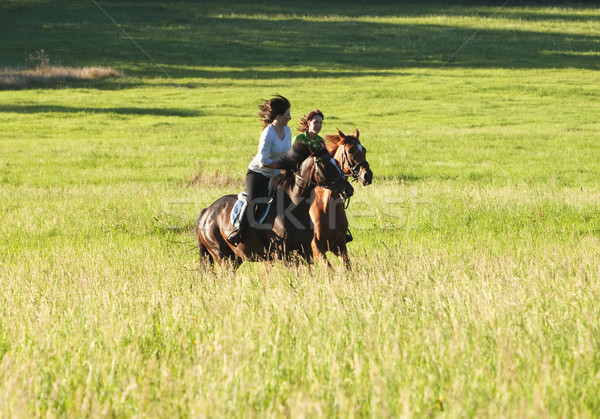 Two Women Horseback Riding in a Landscape Stock photo © courtyardpix