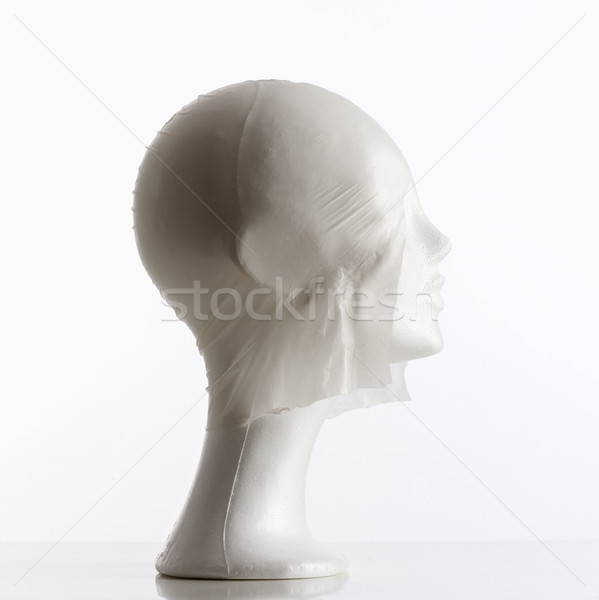 Manken kafa derisi kapalı plastik kel kafa Stok fotoğraf © courtyardpix