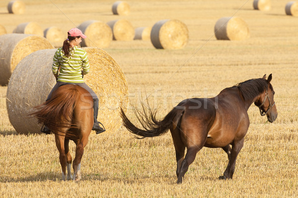 Vrouw paardrijden landschap schoonheid zomer vrouwelijke Stockfoto © courtyardpix