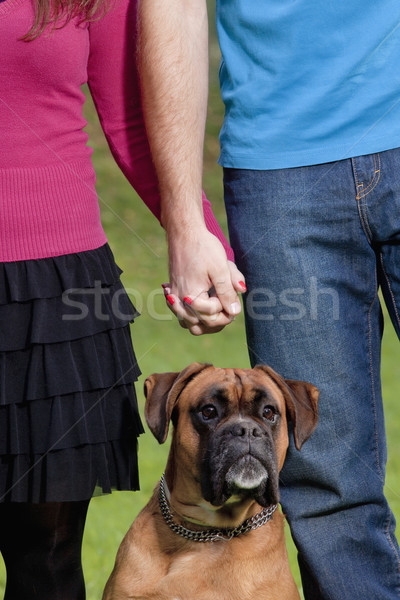 Couple Holding Hands with their Dog  Stock photo © courtyardpix