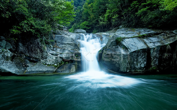 Large rain forest waterfall Stock photo © cozyta