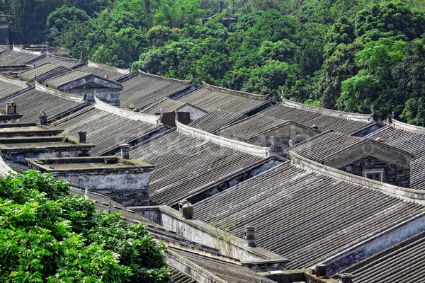 Ethnic minority village in Guangxi province,China  Stock photo © cozyta