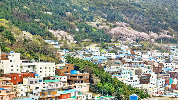 Kültür köy Güney Kore şehir sokak boya Stok fotoğraf © cozyta