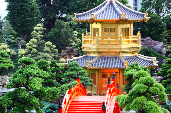 Perfeição jardim Hong Kong água paisagem ouro Foto stock © cozyta