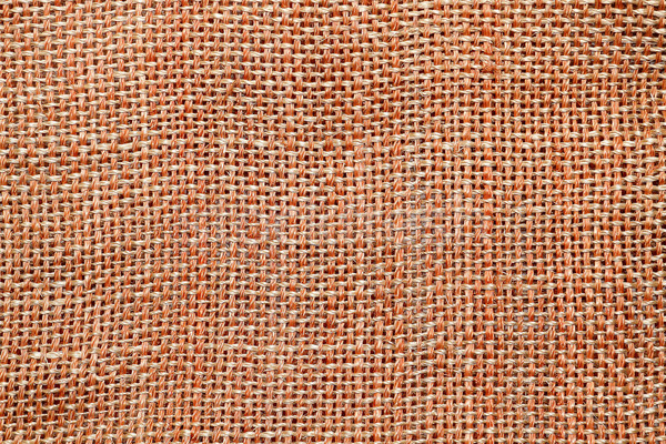 Bamboo texture  Stock photo © cozyta