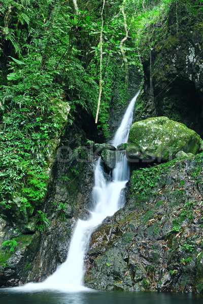 Nature Scenery  Stock photo © cozyta