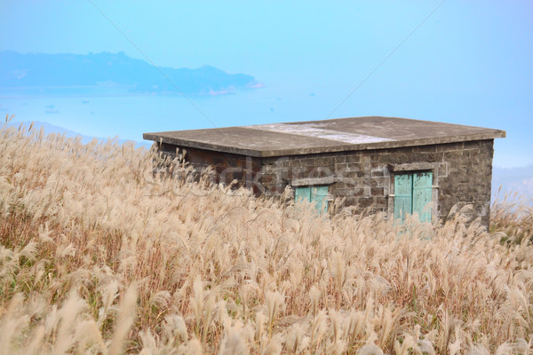 old stone house with grass on the mountain  Stock photo © cozyta