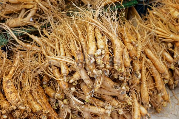 crowd of real ginseng Stock photo © cozyta