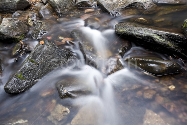 Stock photo: A water spring in forest.