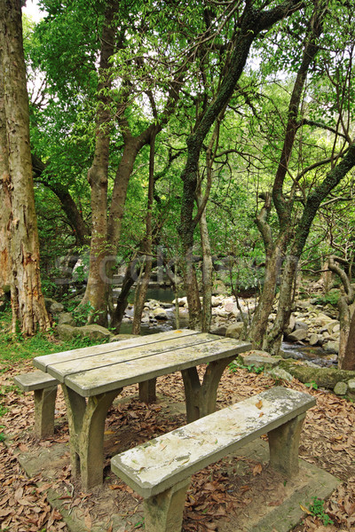 商業照片: 野餐 · 地方 · 森林 · 樹 · 太陽 · 性質