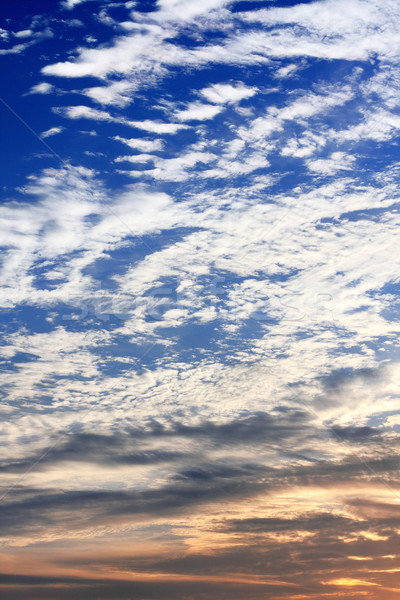 sunset sky  Stock photo © cozyta