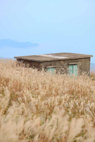 old stone house with grass on the mountain  Stock photo © cozyta